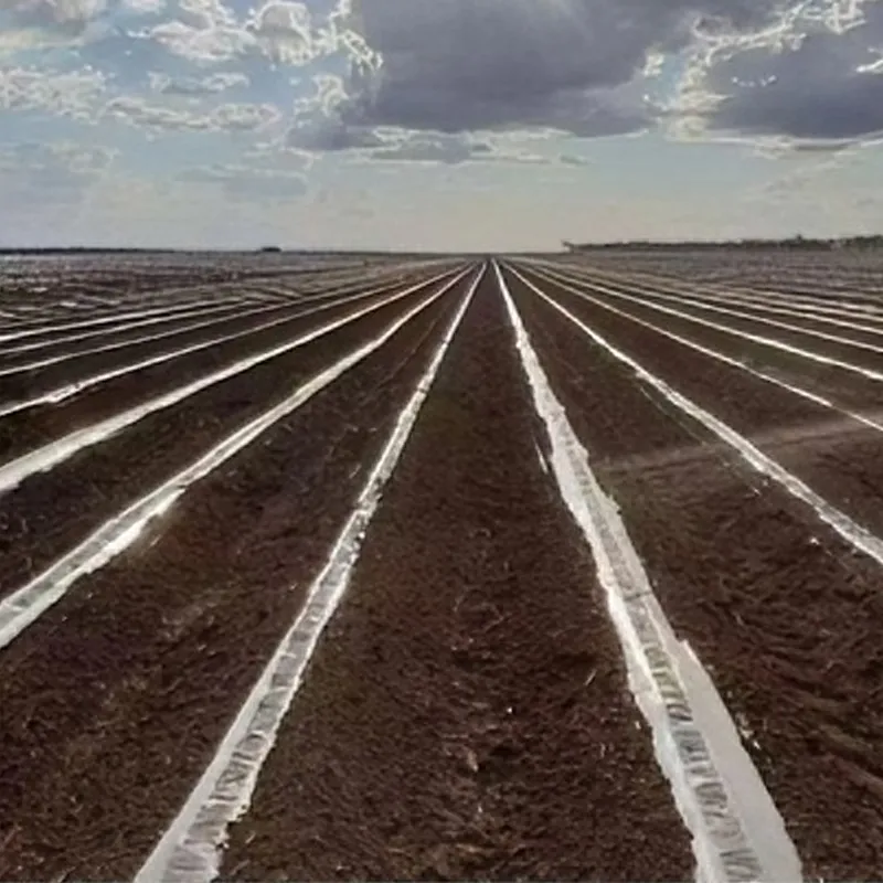Перфорированная мульчирующая пленка1.3