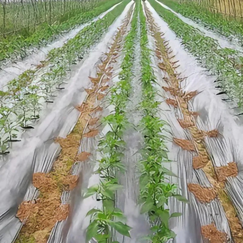 Серебристо-серая мульчирующая пленка.3