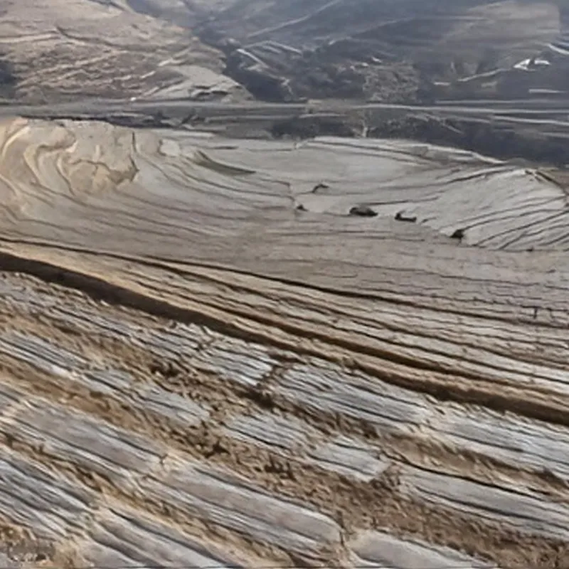 Обычная полиэтиленовая (ПЭ) мульчирующая пленка.2