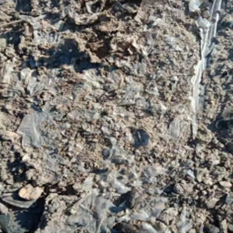 Окислительно-биоразлагаемая мульчирующая пленка.2