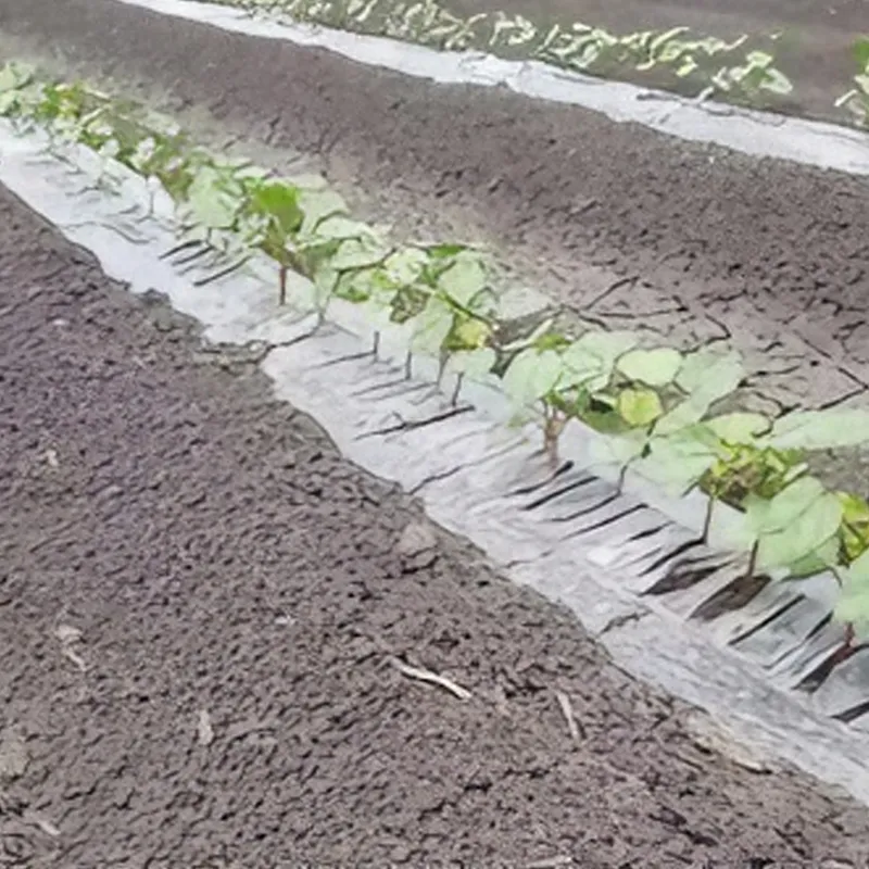 Перфорированная мульчирующая пленка1.4