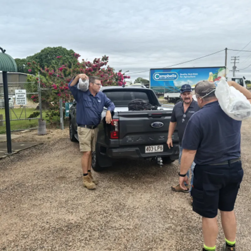 Полностью биоразлагаемая мульчирующая пленка.3