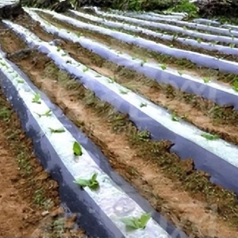 Специальная мульчирующая пленка для табака.3