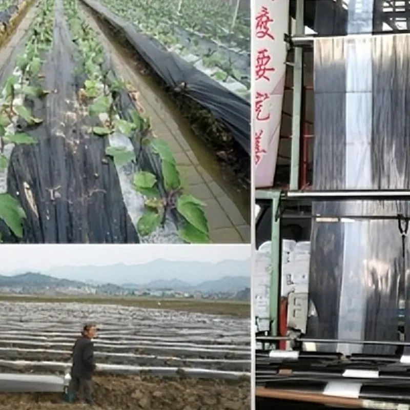 Специальная мульчирующая пленка для табака.4